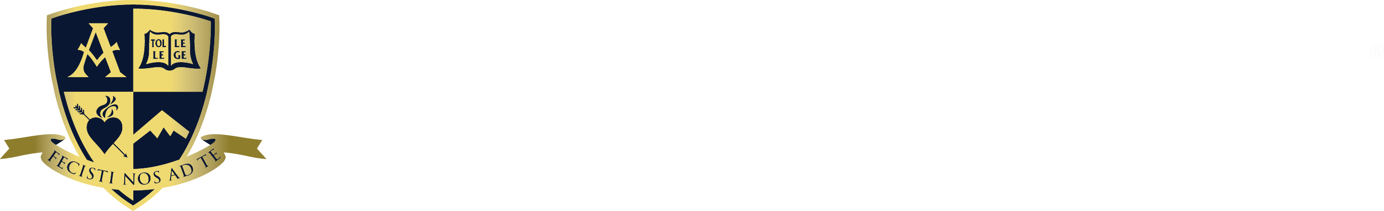 Augustine Institute